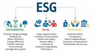 جنبش حاکمیت محیطی، اجتماعی، شرکتی (ESG)